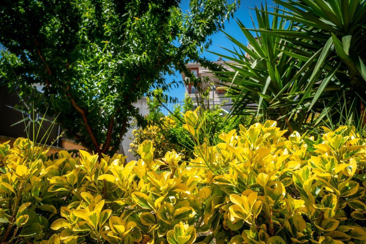 Antonella'S House Apartment Vasto Bagian luar foto